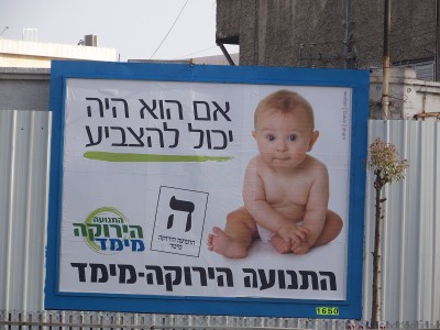 התנועה הירוקה מימד