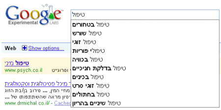 google suggest - tipul google suggest - tipul
