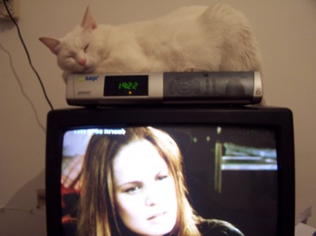 נוגה מותחת ביקורת על הטלוויזיה הרב-ערוצית. צילום: עידו קינן (cc-by-sa)